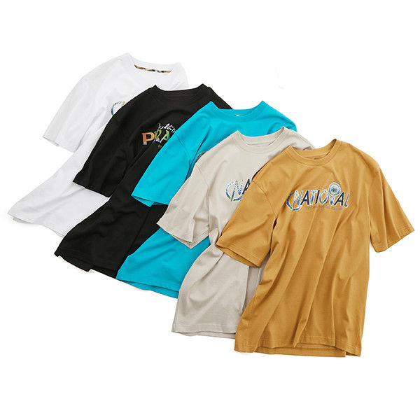 T-shirts curtos personalizados para homens com tela de malha simples